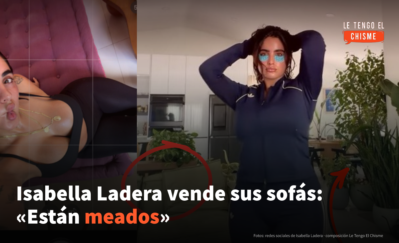 «Están meados»: Isabella Ladera vende por 3.000 dólares los sofás que orinaron sus perros y gatos