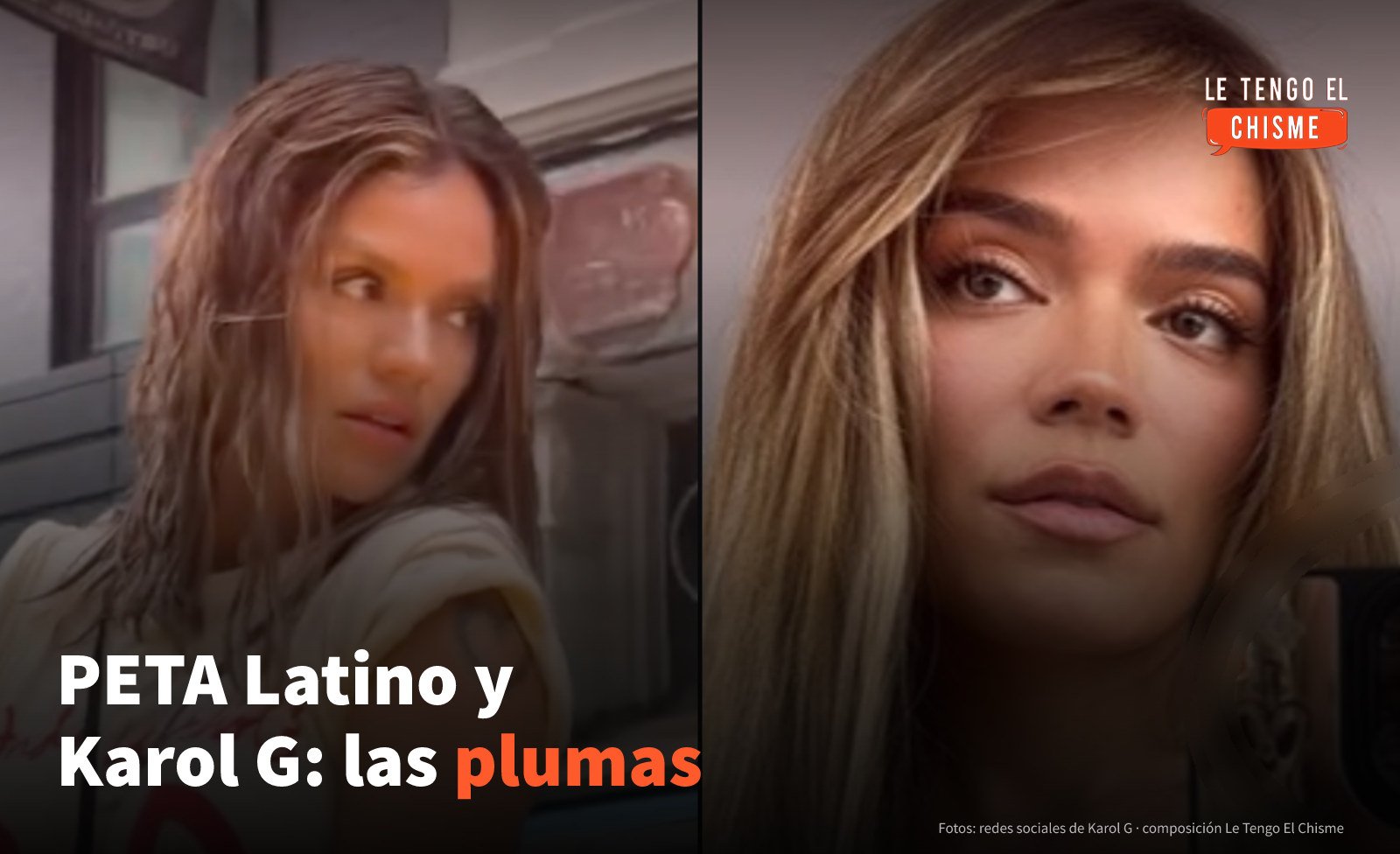 PETA Latino cuestiona a Karol G por las plumas de un tocado de su gira: lo que se sabe y lo que no está confirmado